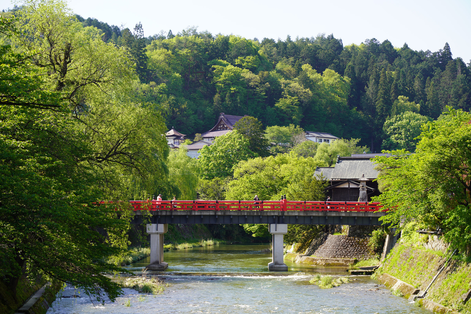 新緑に映える 宮川に架かる赤い中橋