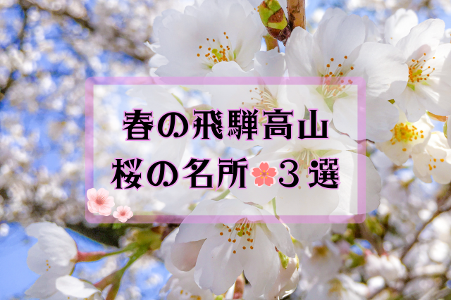 飛騨高山の桜の名所！おすすめスポット3選