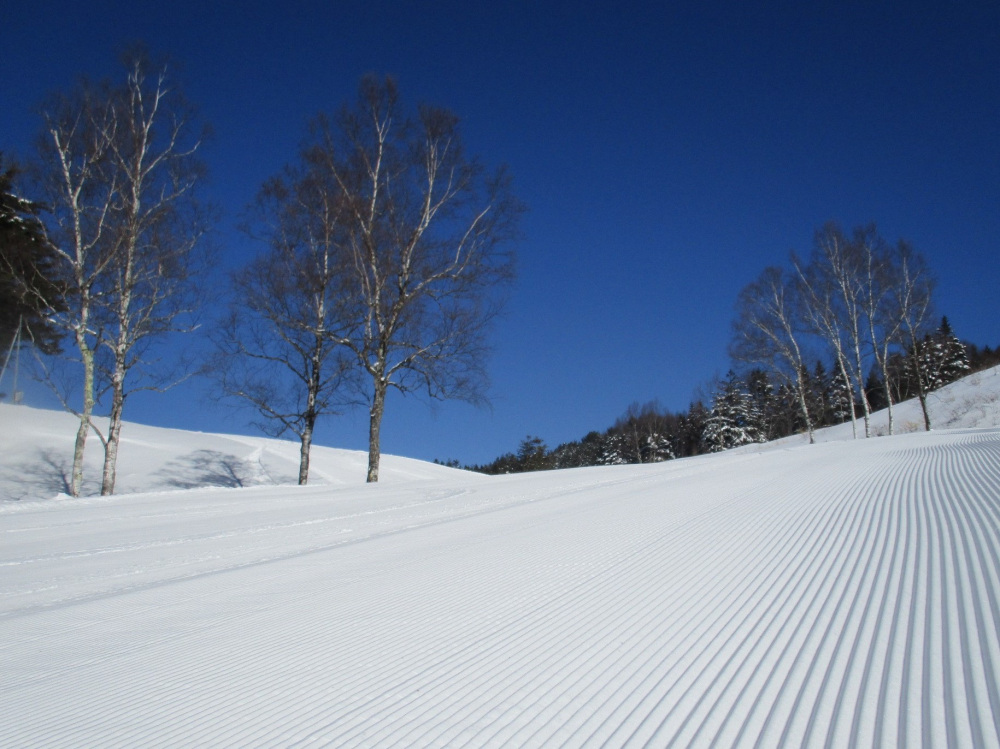  飛騨高山スキー場ゲレンデガイド