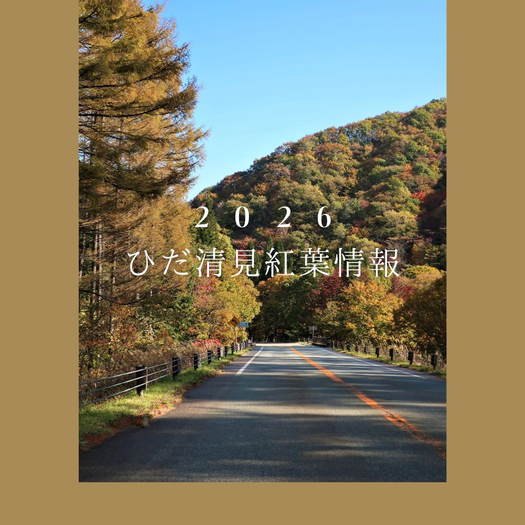 2026ひだ清見紅葉情報