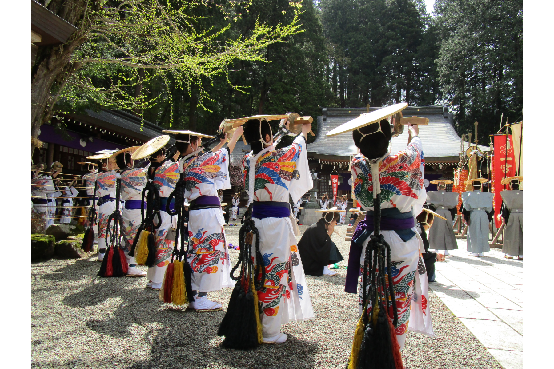 撮影地：飛騨一宮水無神社