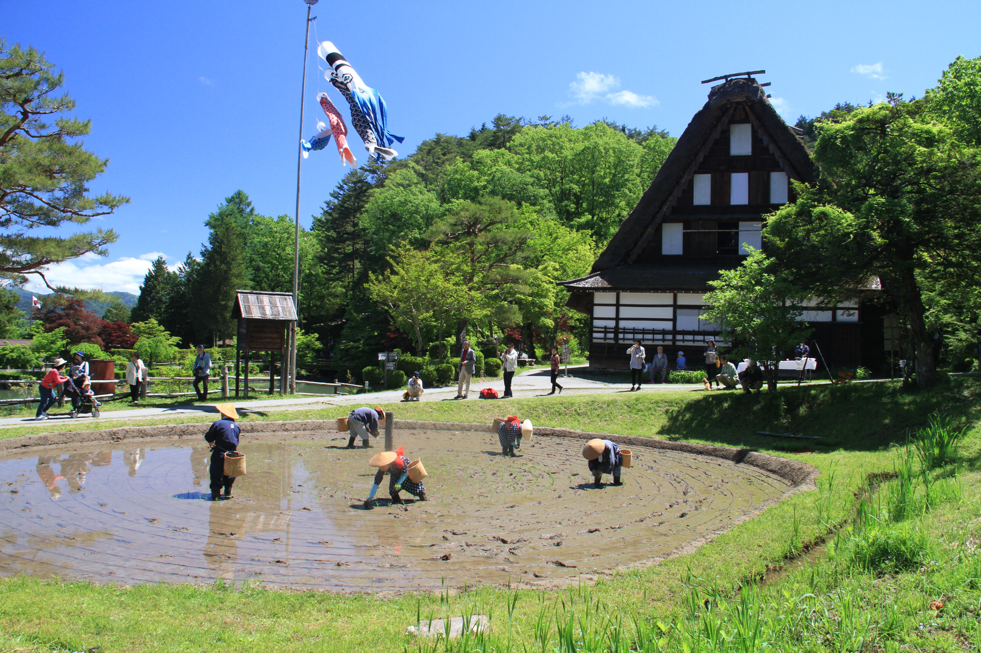 撮影地：飛騨の里