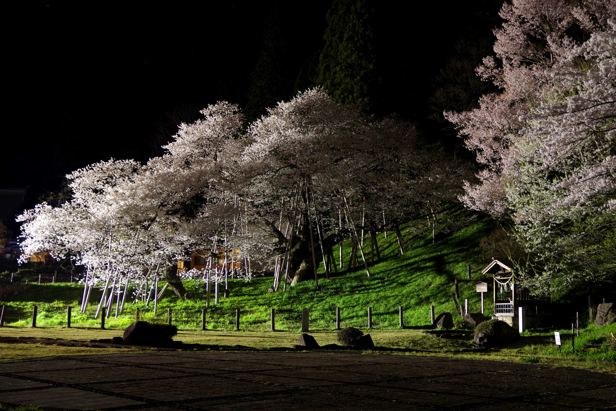 撮影地：高山市一之宮町