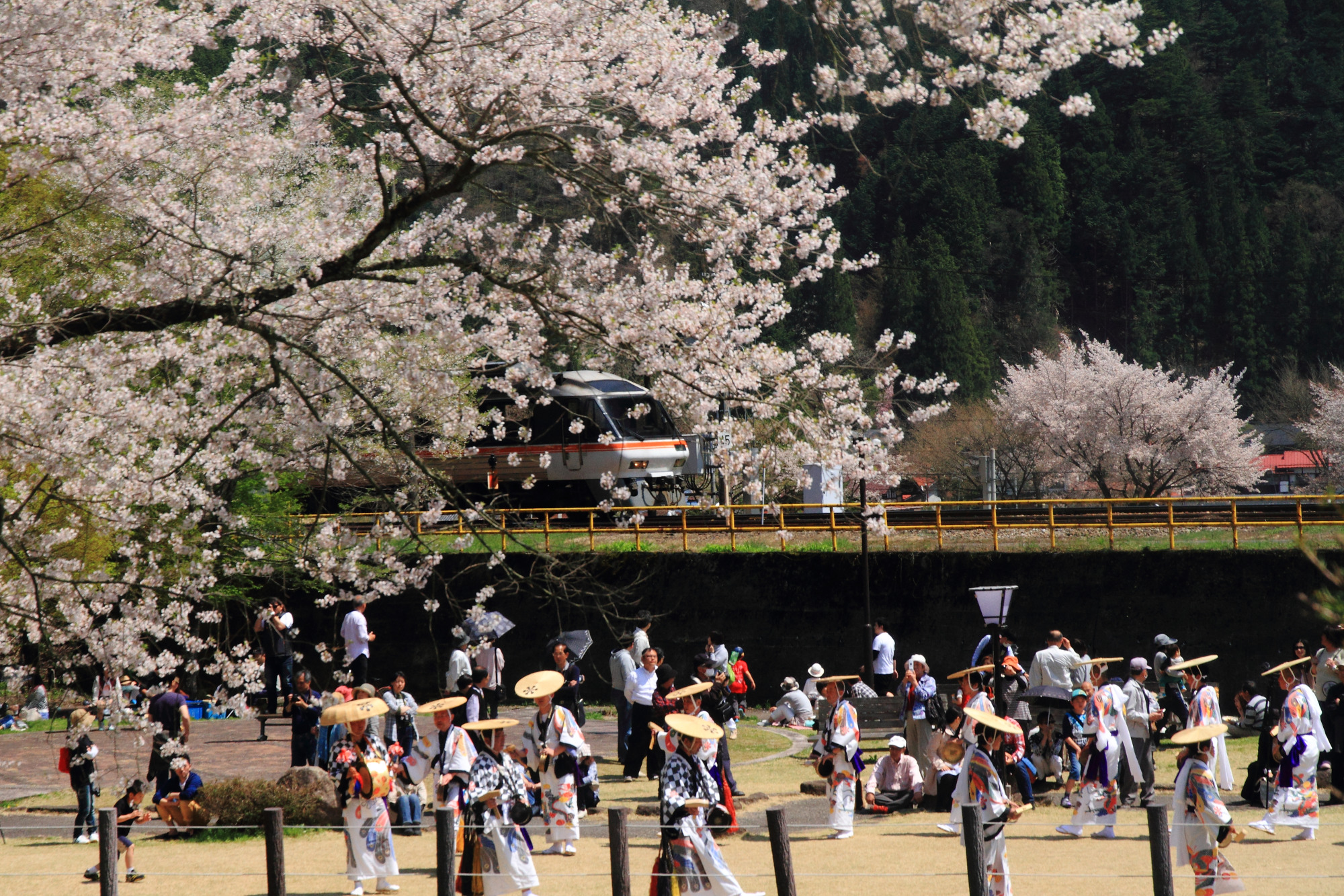 撮影地：臥龍公園