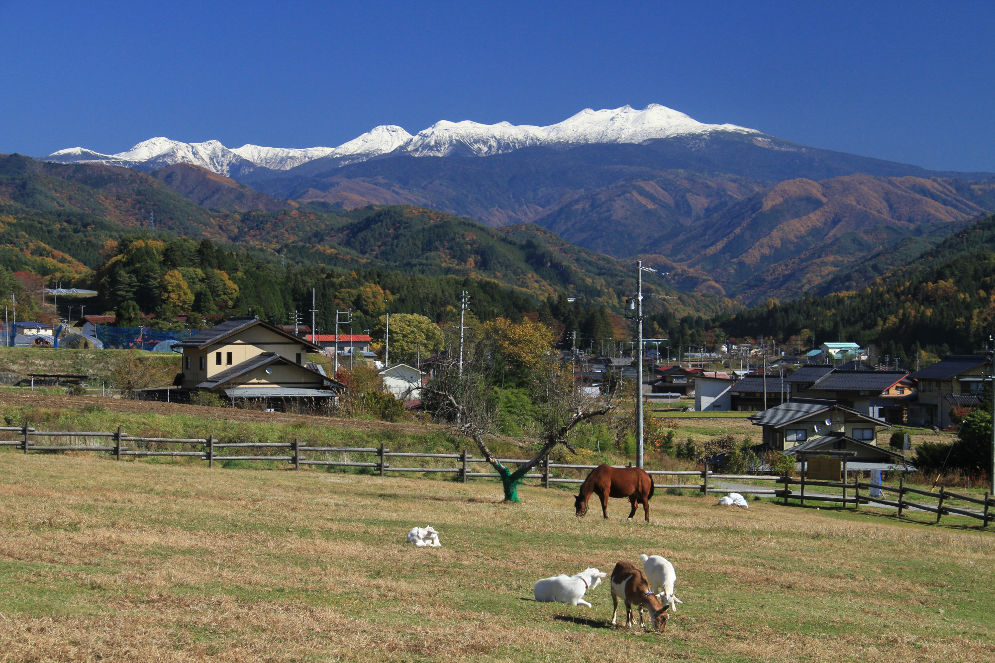 撮影地：高山市久々野町