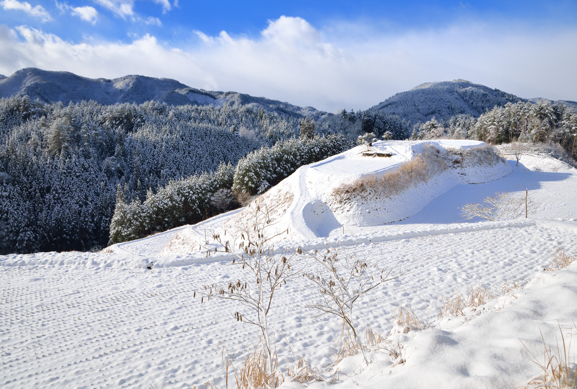 撮影地：高山市滝町