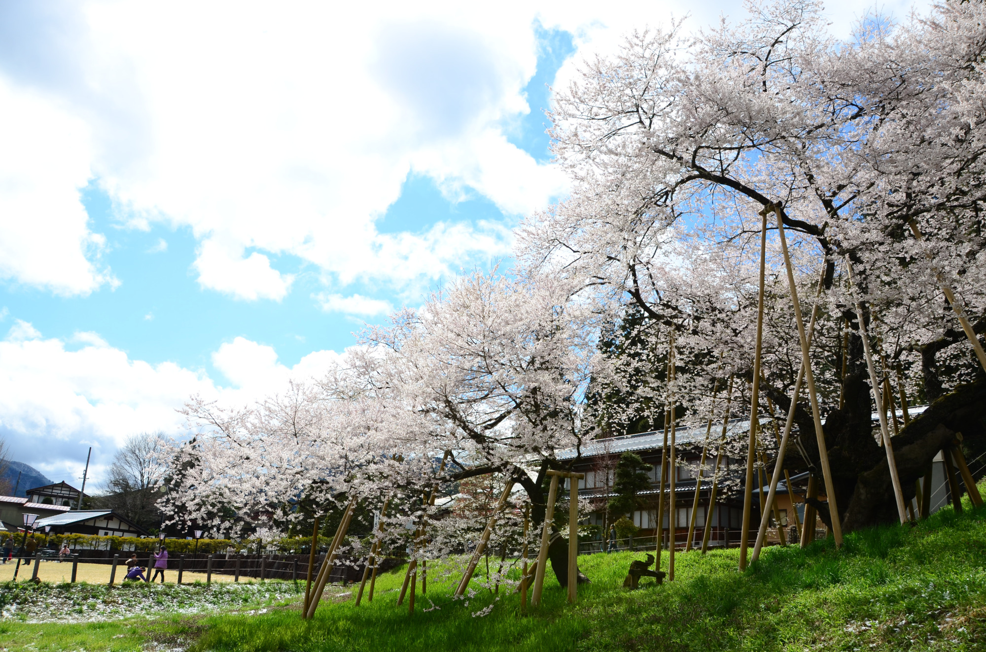 撮影地：高山市一之宮町