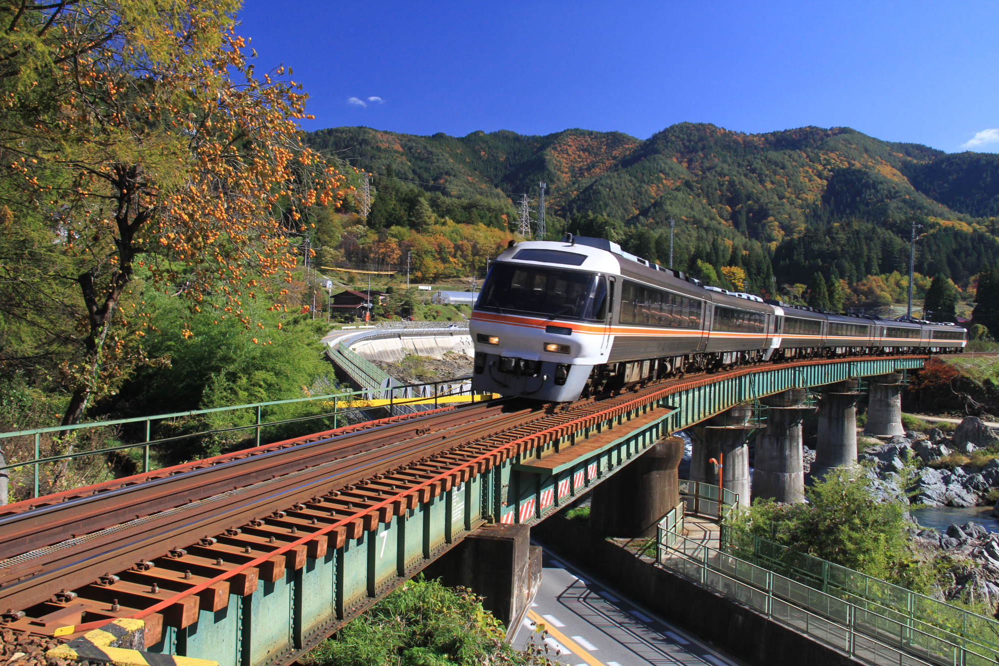 撮影地：高山市国府町