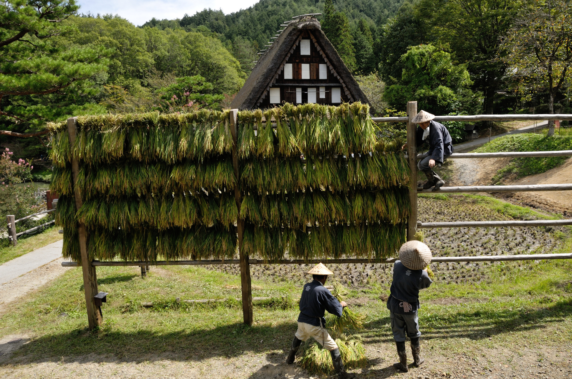 撮影地：飛騨の里