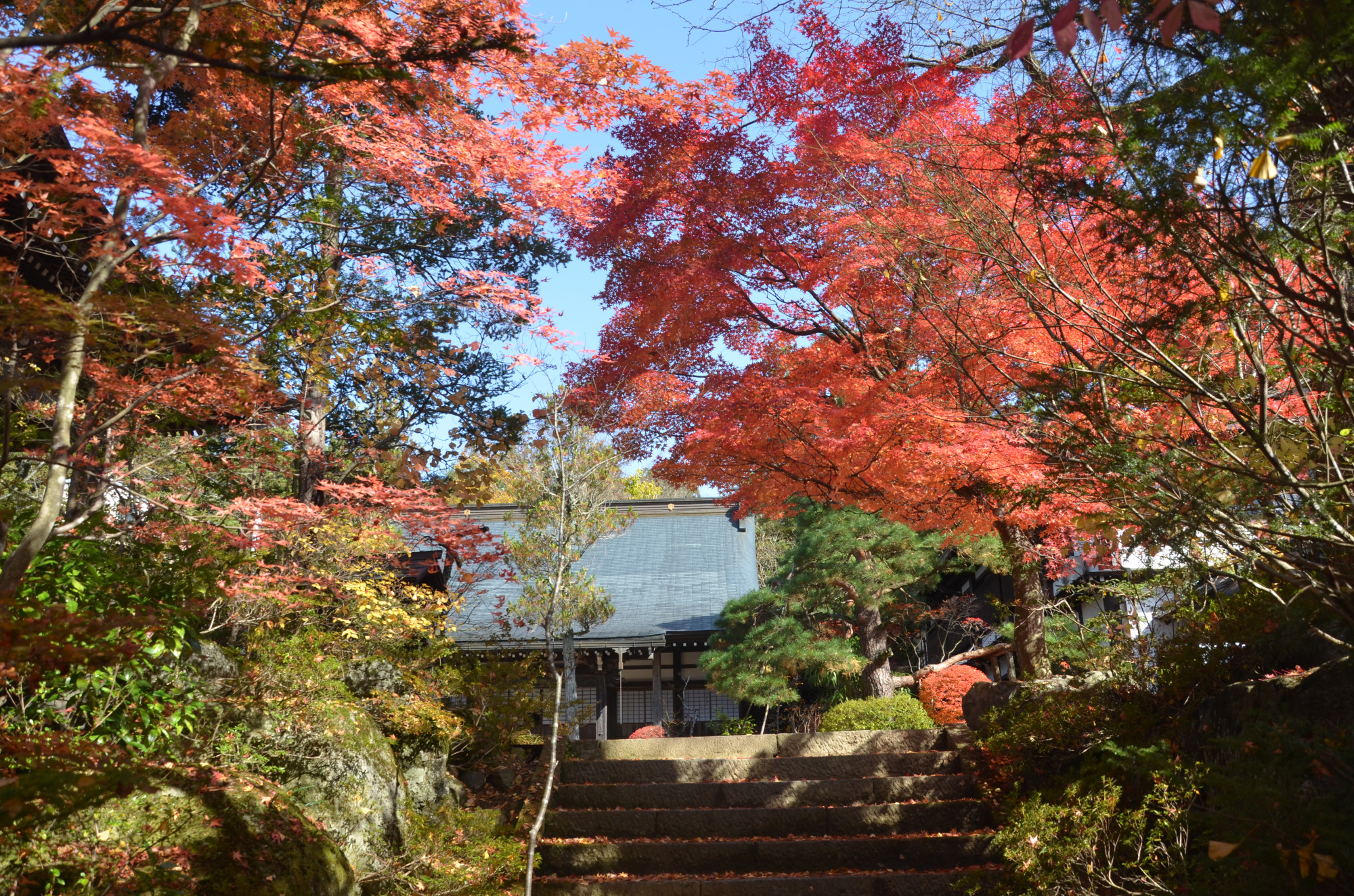 撮影地：高山市天性寺町