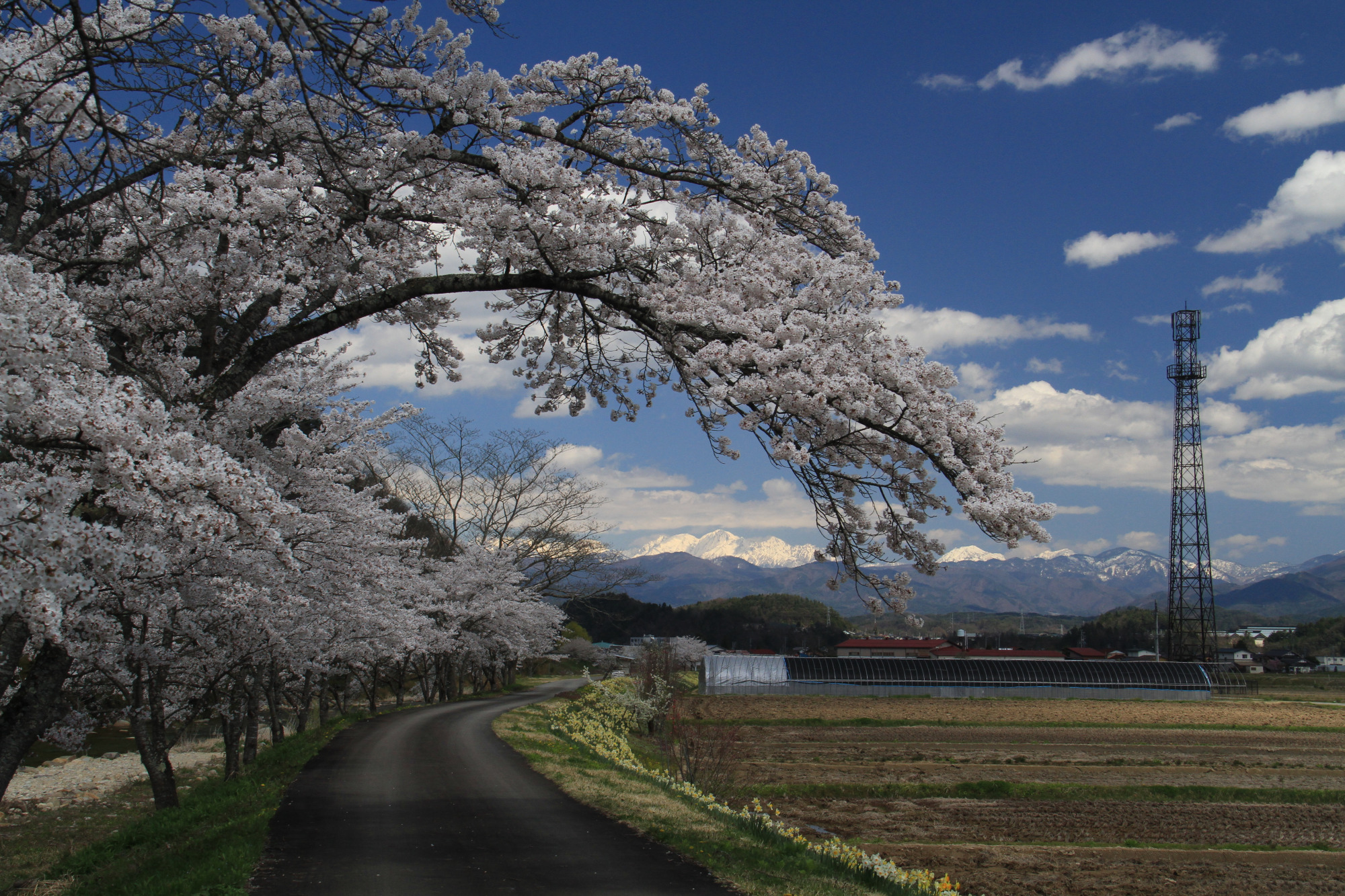 撮影地：高山市下之切町川上川