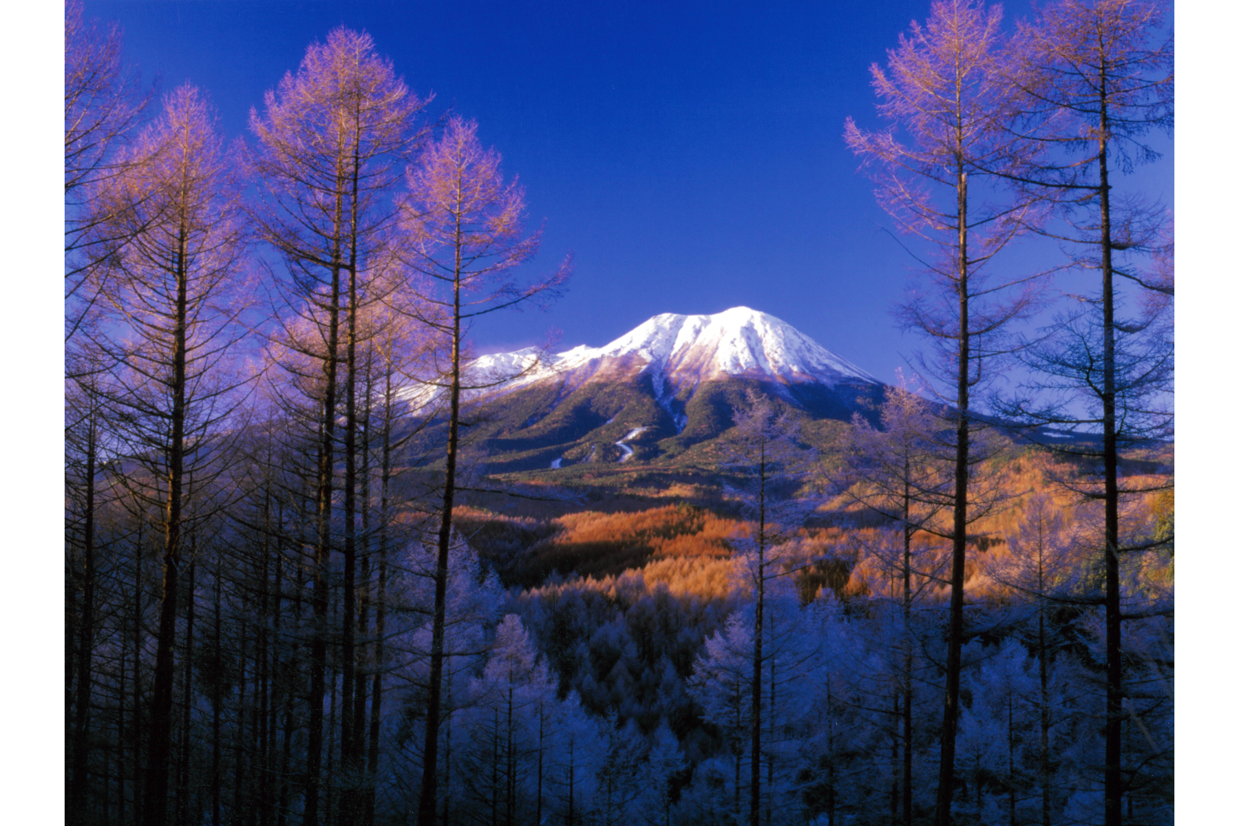 撮影地：高山市高根町日和田