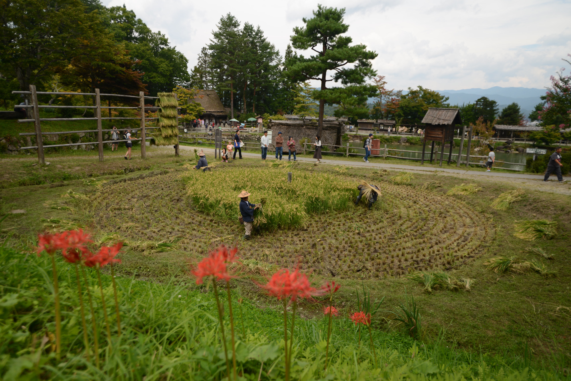 撮影地：飛騨の里