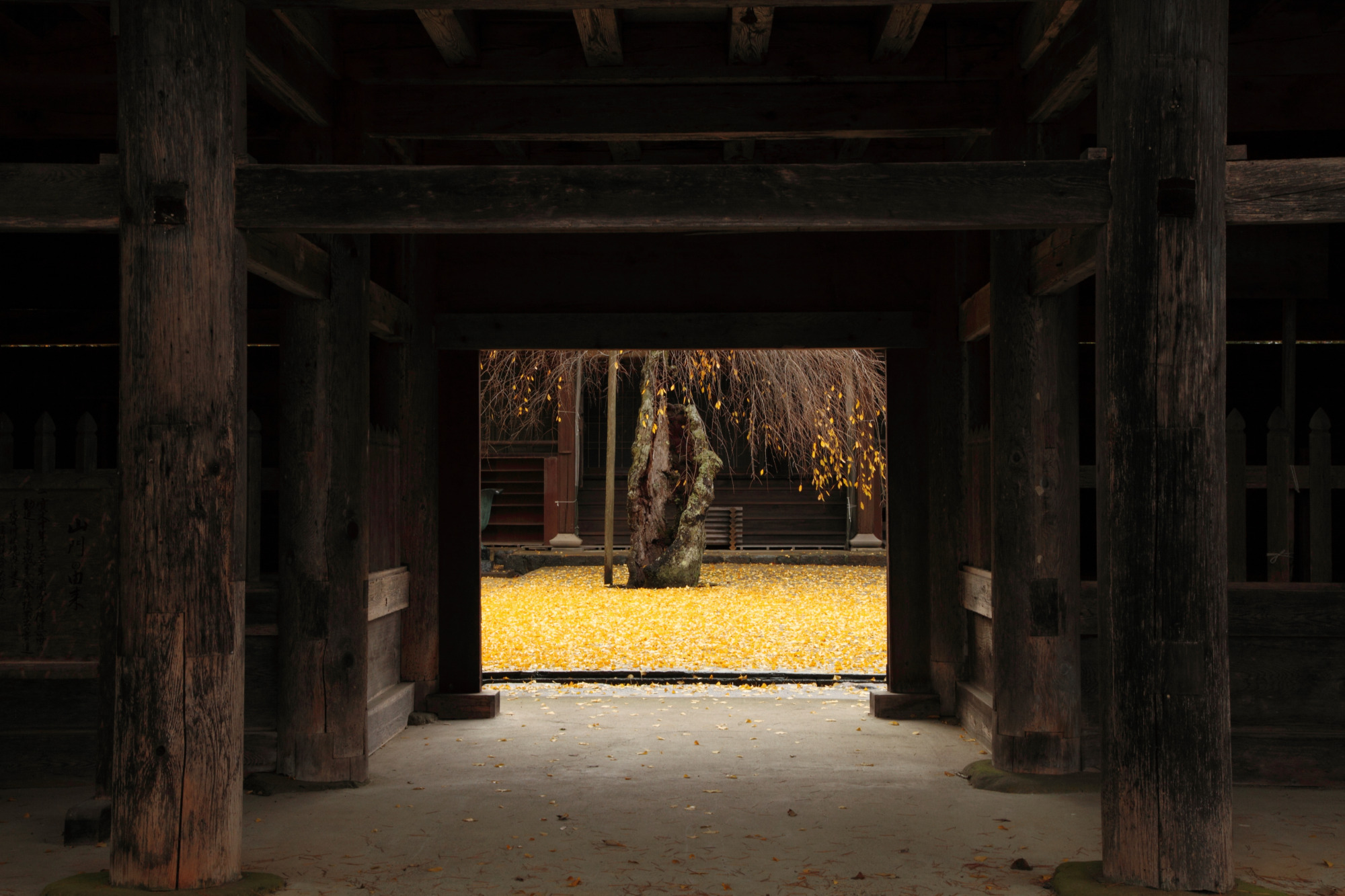 撮影地：高山市一之宮町往還寺