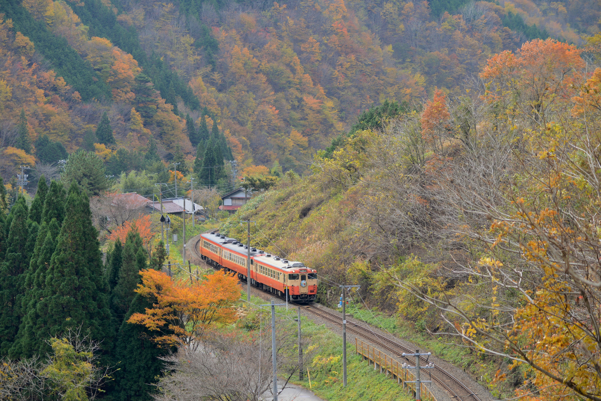 撮影地：高山市久々野町渚