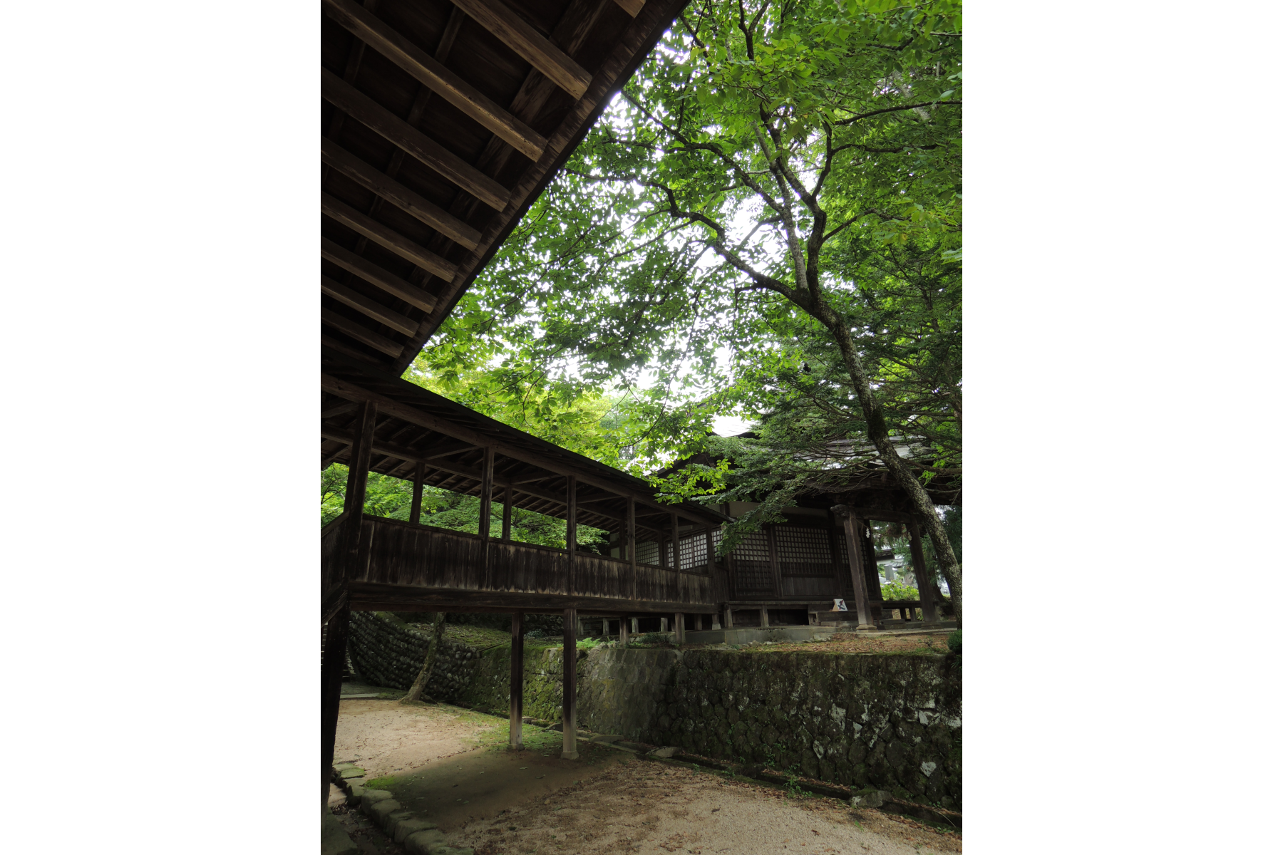 撮影地：高山市天性寺町法華寺