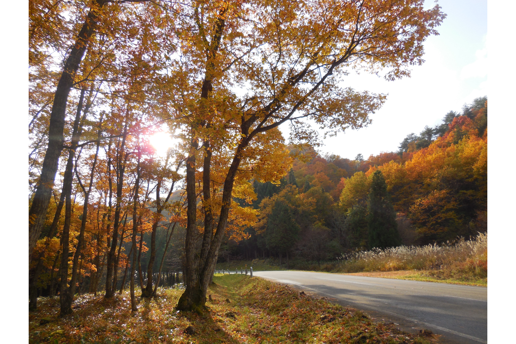 撮影地：せせらぎ街道