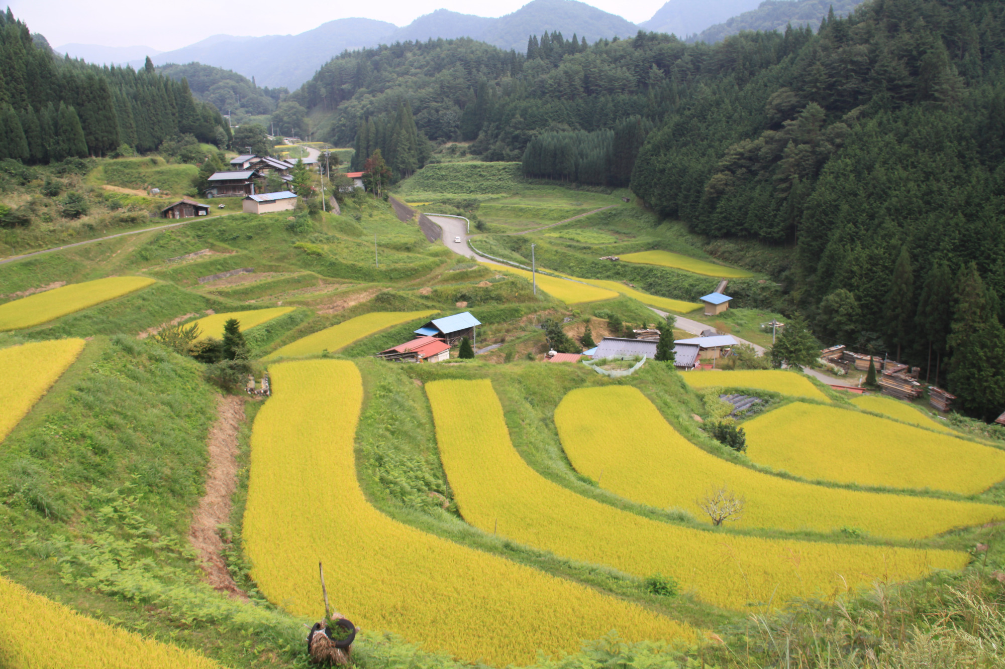 撮影地：高山市岩滝町