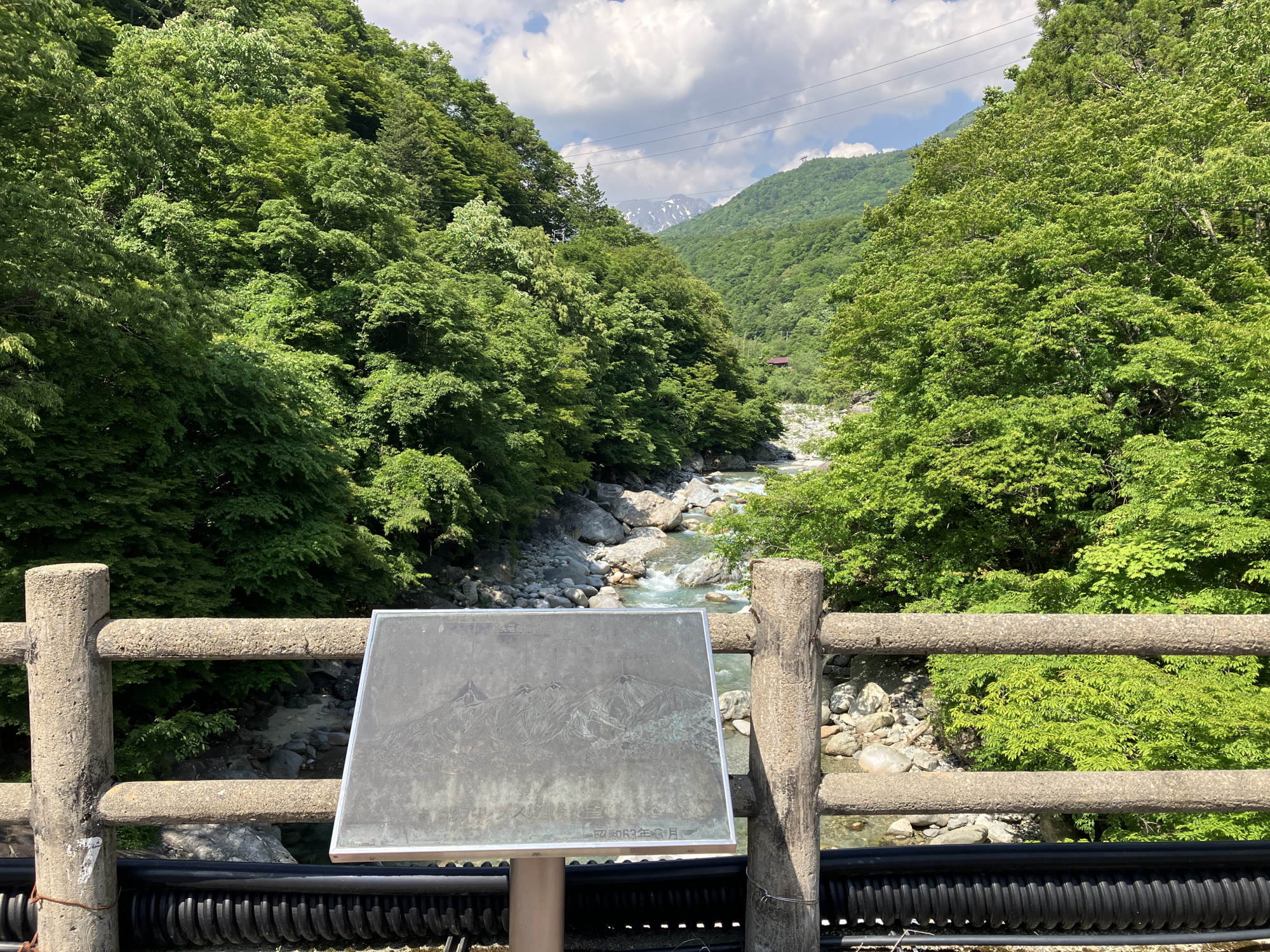 橋からの風景です