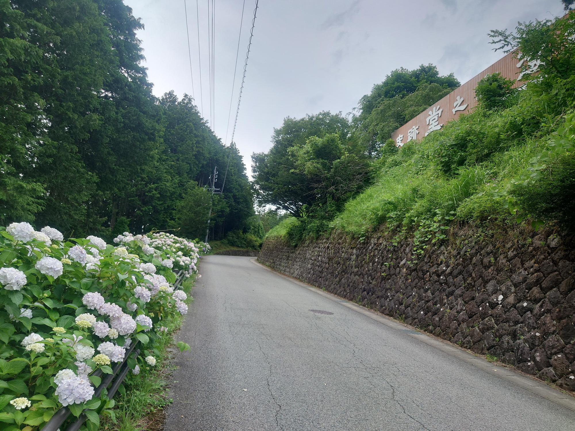 ⑯実はこの坂の右側の台地が「堂之上遺跡」です。ちょうど遺跡の横を歩いていることになります。