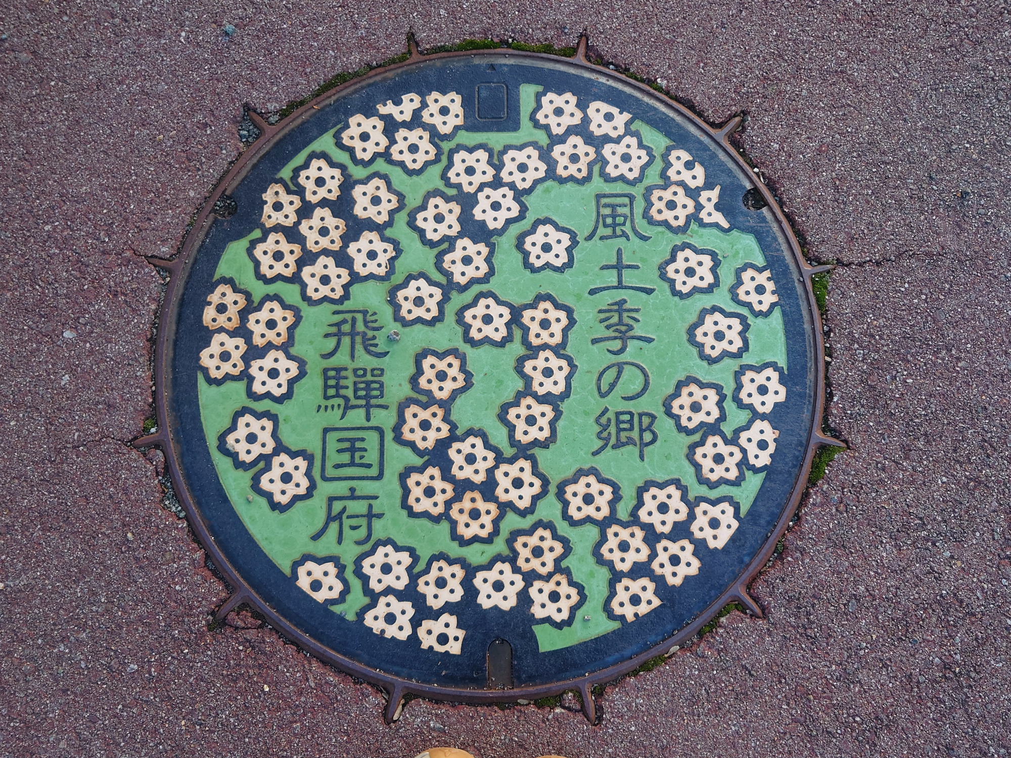 【国府エリア】桜野公園の桜