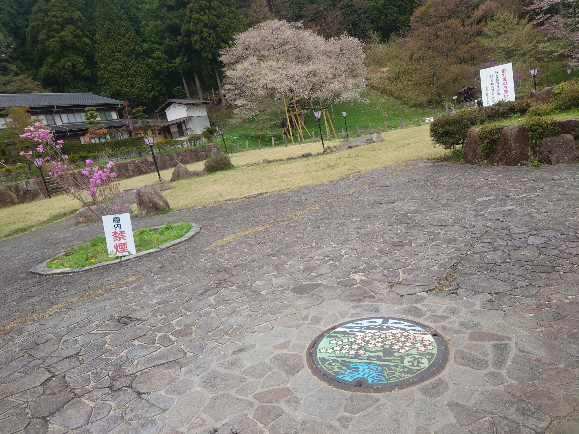 奥に見える桜が「臥龍桜」です(４月に撮影)