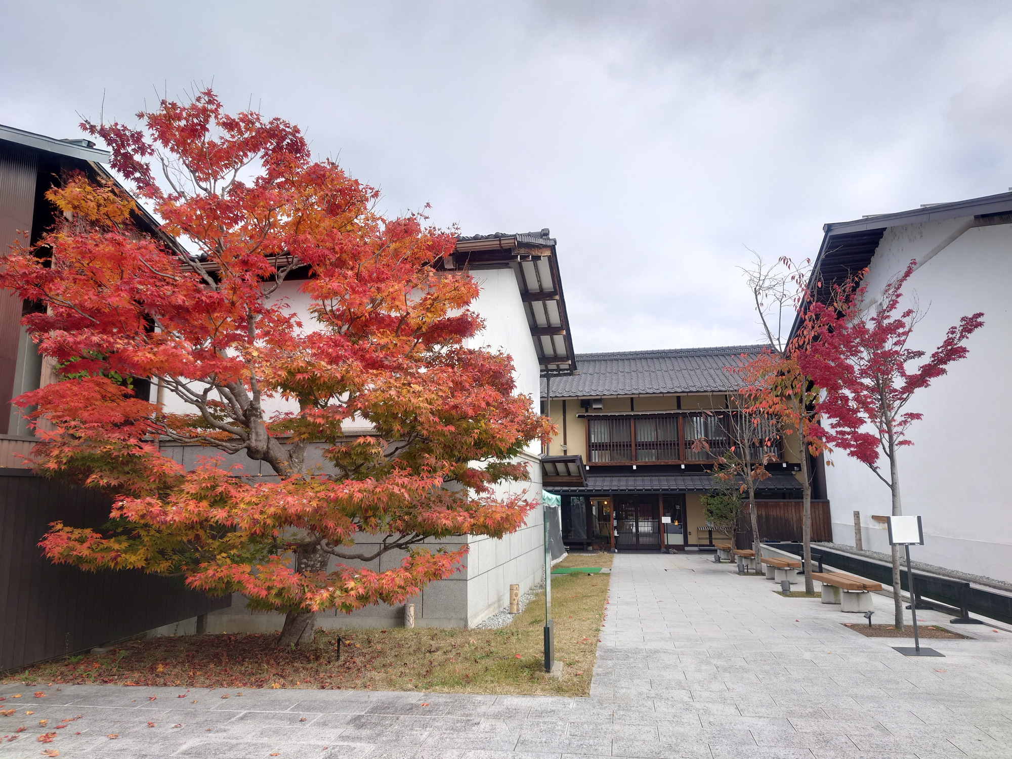 広場を通り抜けて奥に進むと建物（体験館）の入口があります。