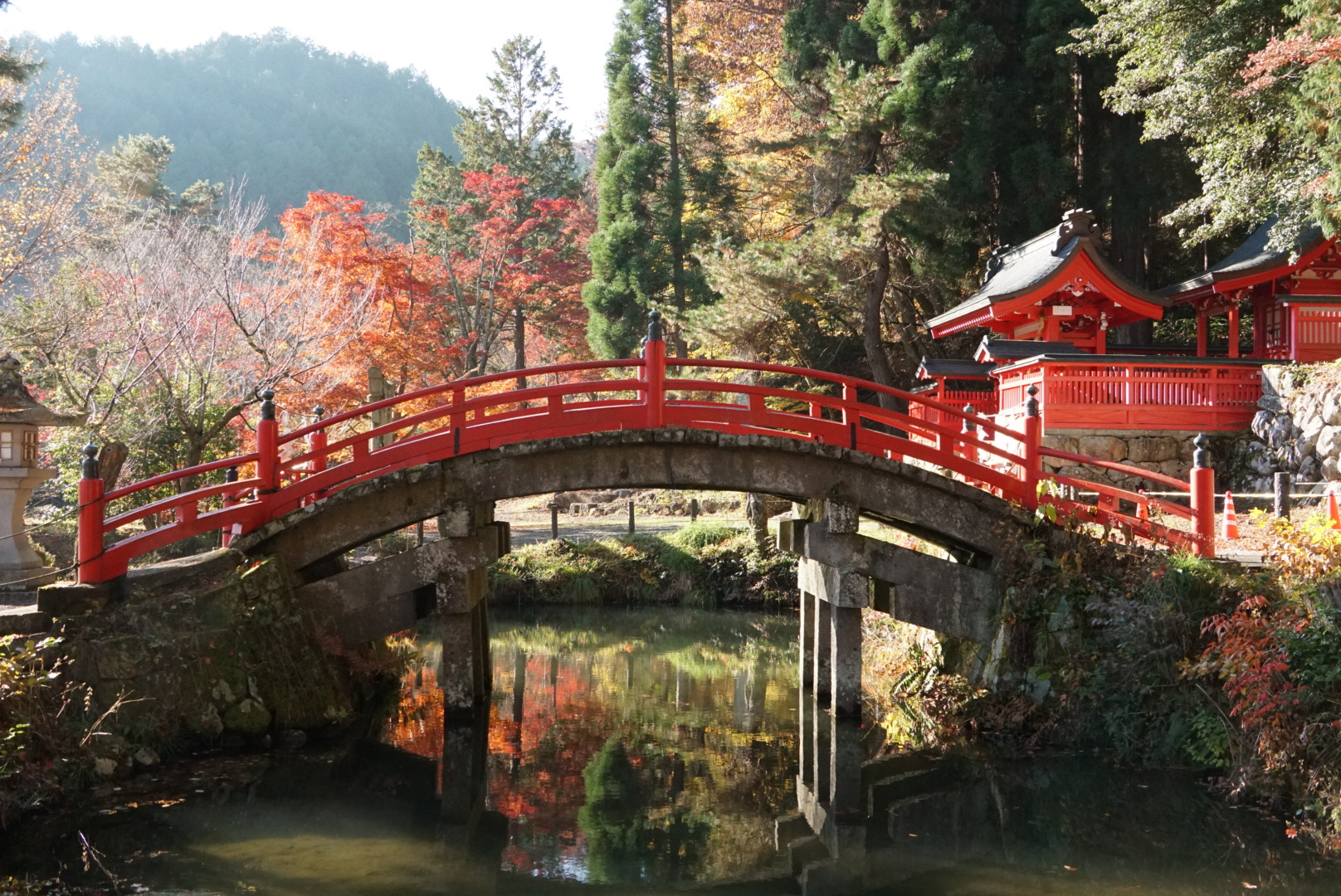 秋、紅葉が彩る風景