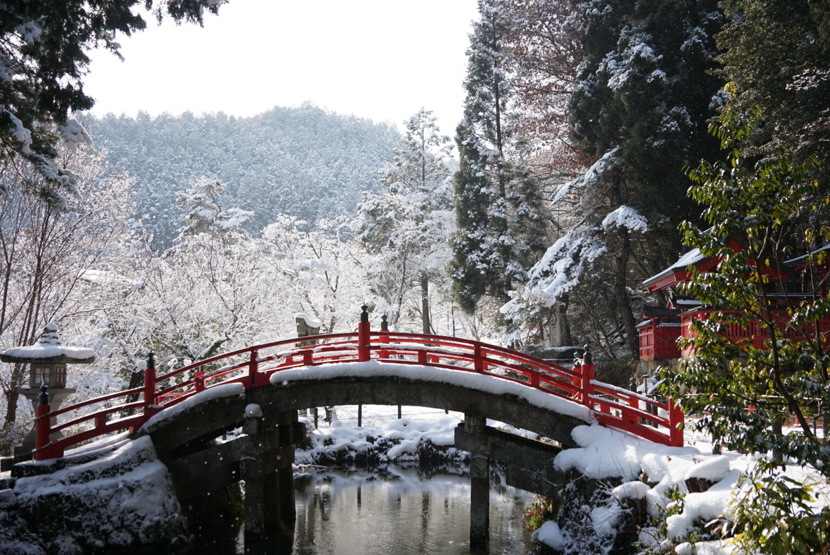 冬、雪景色も絶景です