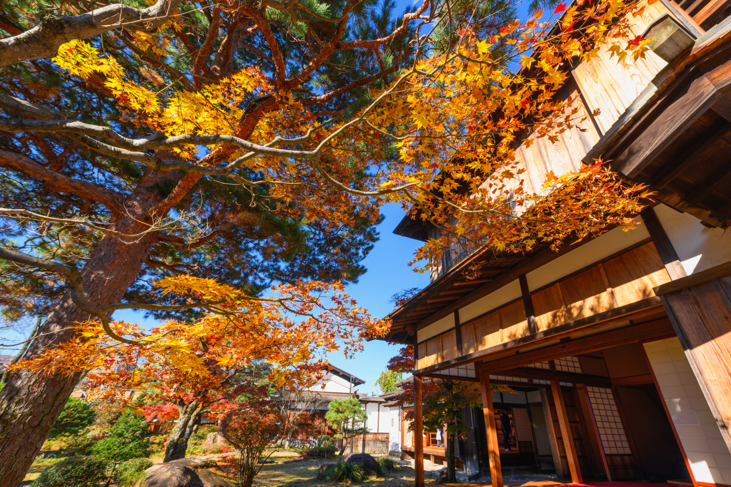 飛騨高山の人気紅葉スポットをめぐるモデルコース(4時間)
