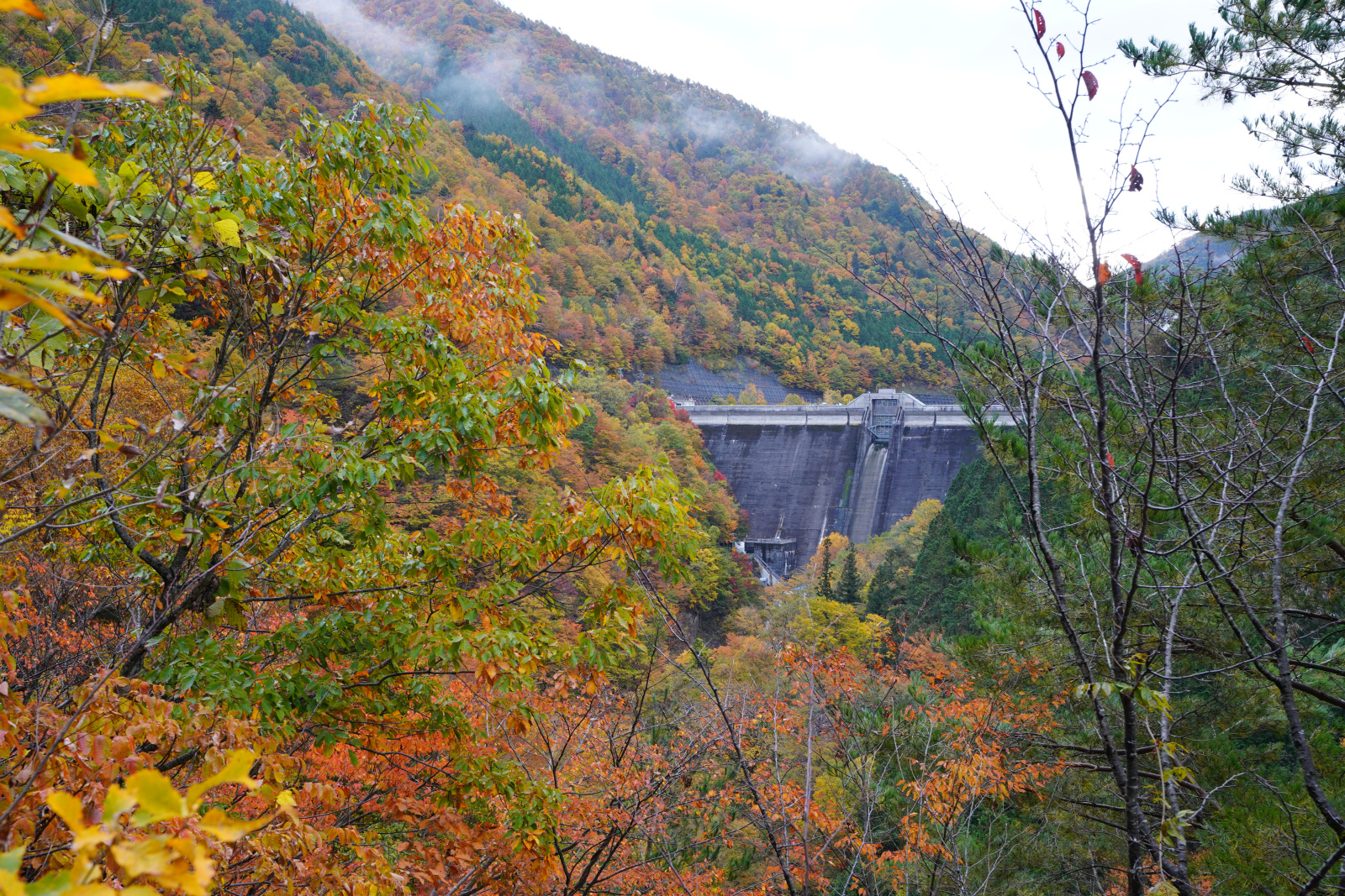 ダム湖に紅葉が照り映える 秋神ダム