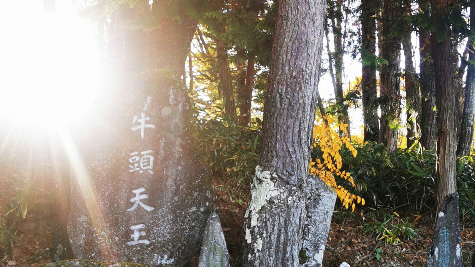 日和田高原石仏巡り