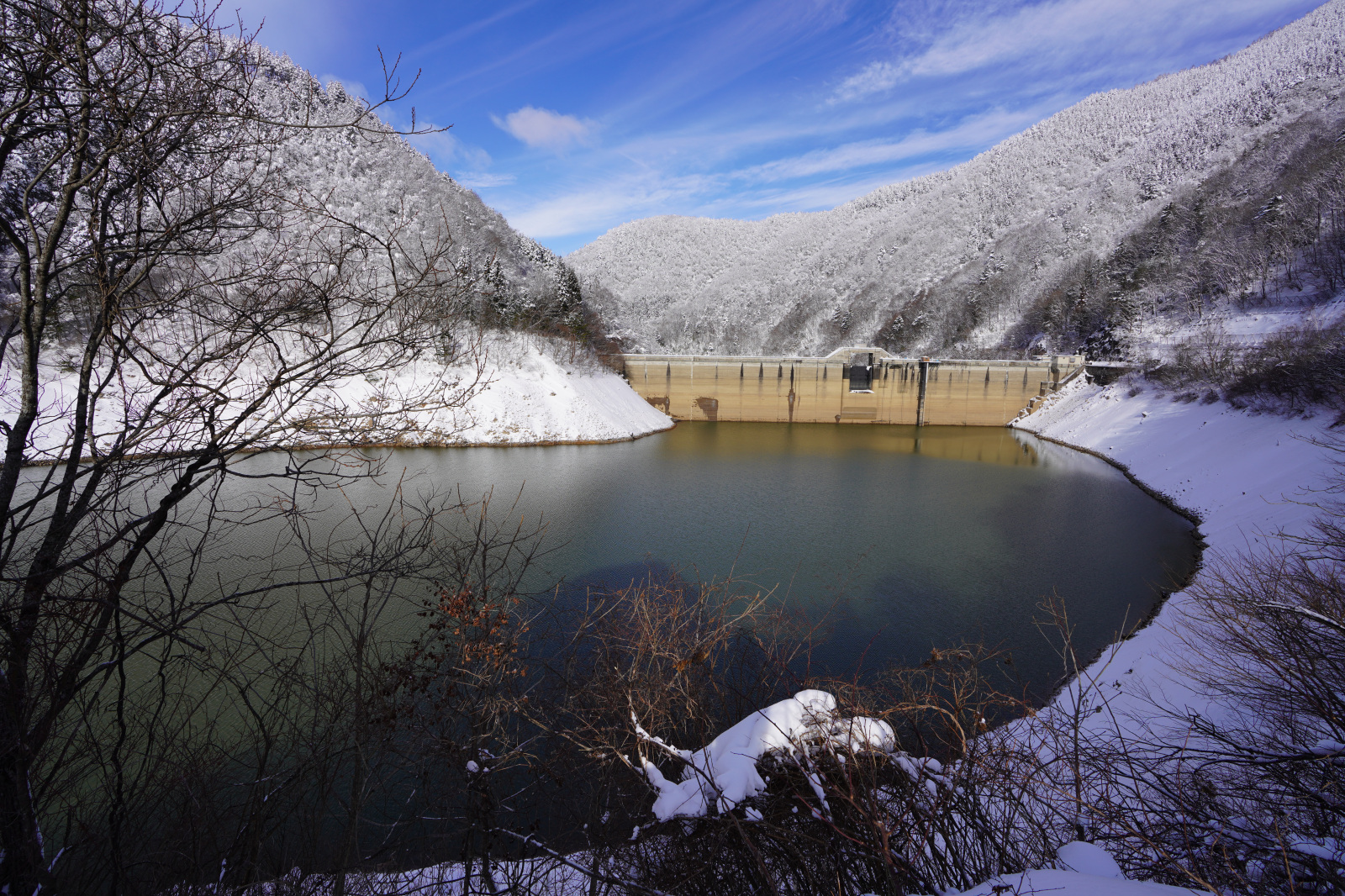 春を待ちわびる