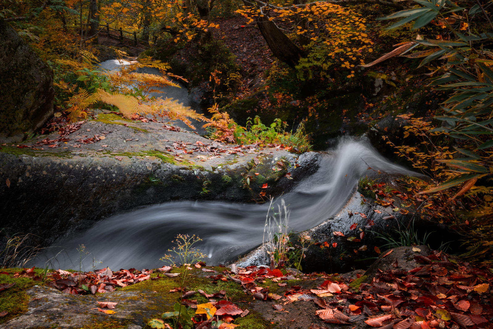 晩秋の宇津江四十八滝
