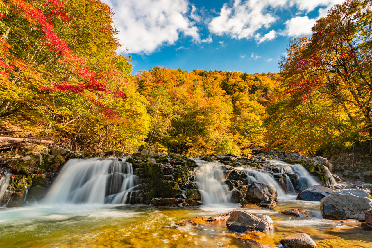 紅葉の滝、澄んだ水を湛えるダム、絶景を堪能しながら世界遺産 白川郷へ!清見~荘川~白川郷をドライブする日帰りモデルコース