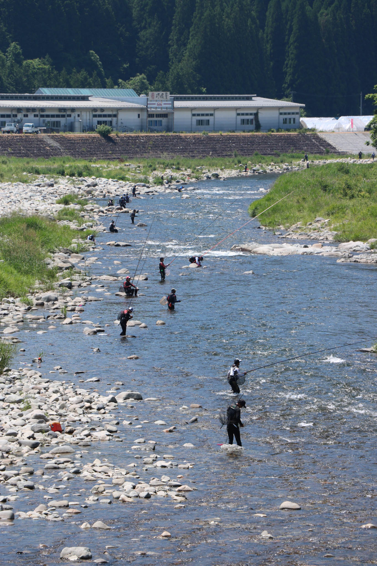 2025年 久々野・鮎釣りシーズン開幕!