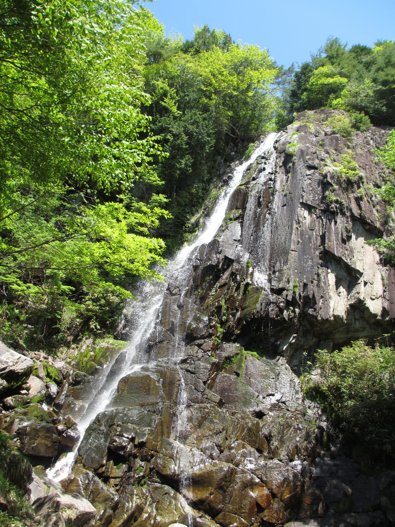森林公園おおくら滝