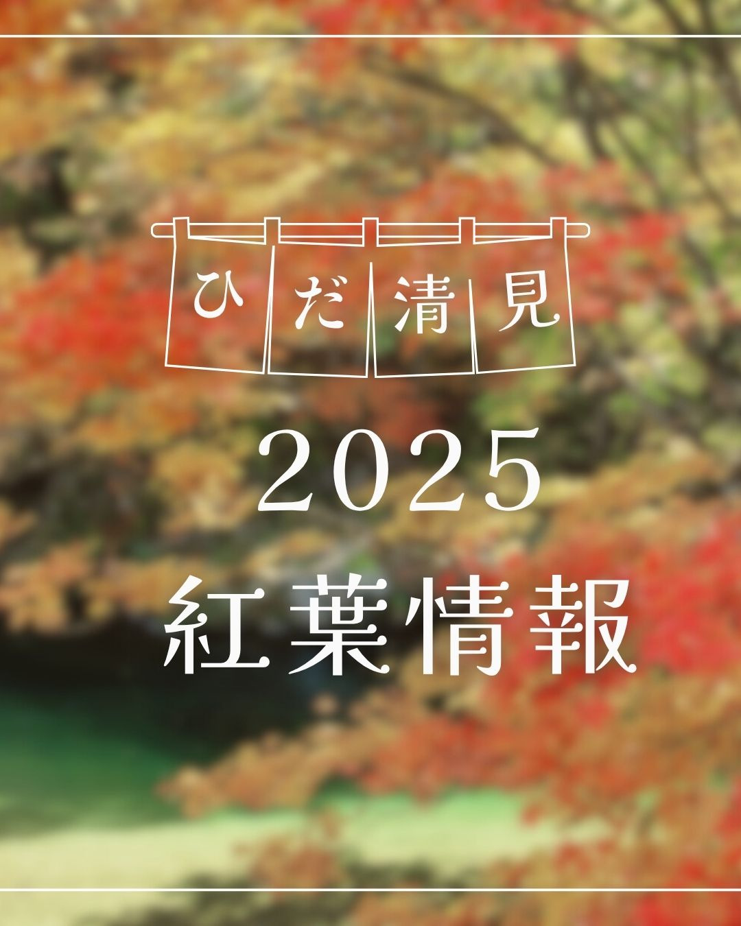 2025ひだ清見紅葉情報