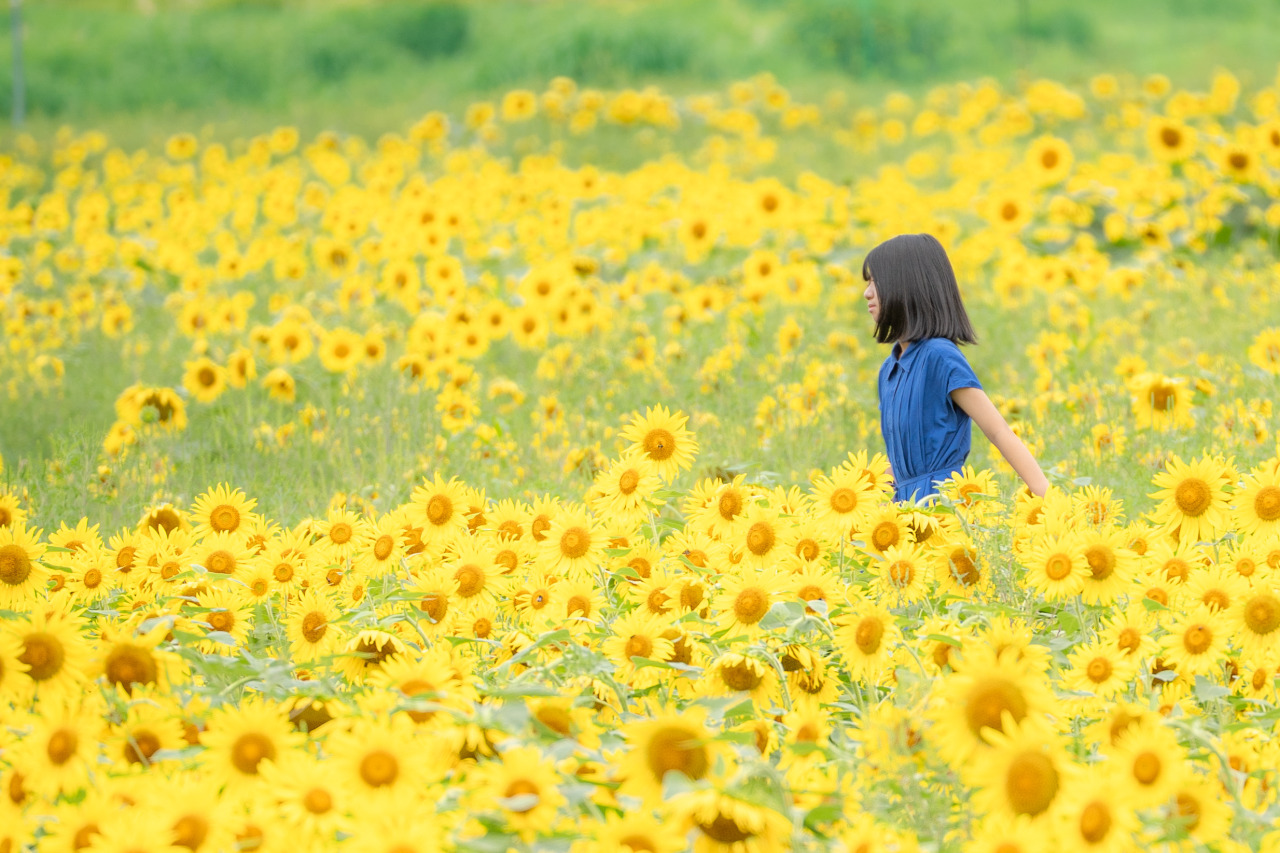 2025アルコピアひまわり園 PHOTO CONTEST 優秀作品発表!