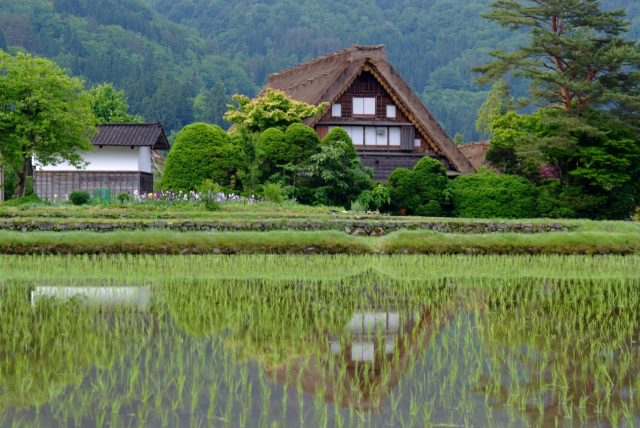 飛騨高山の古い町並と世界遺産白川郷をめぐる日帰り旅