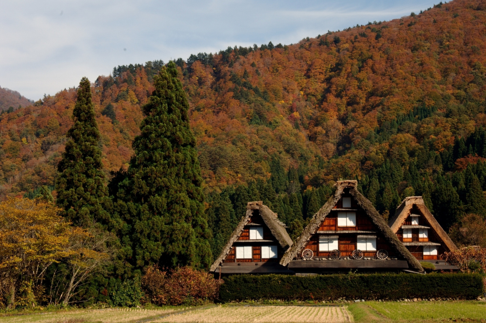 合掌の里が紅く染まる白川郷の秋