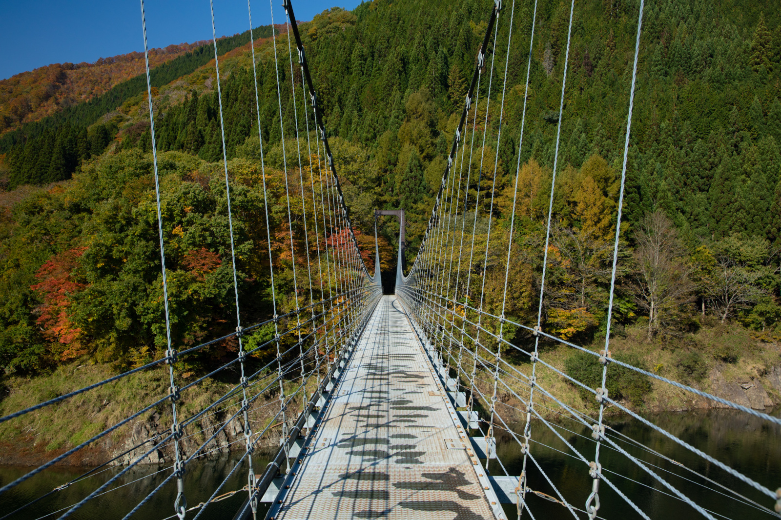 足元には太古の化石が眠る七間飛吊橋