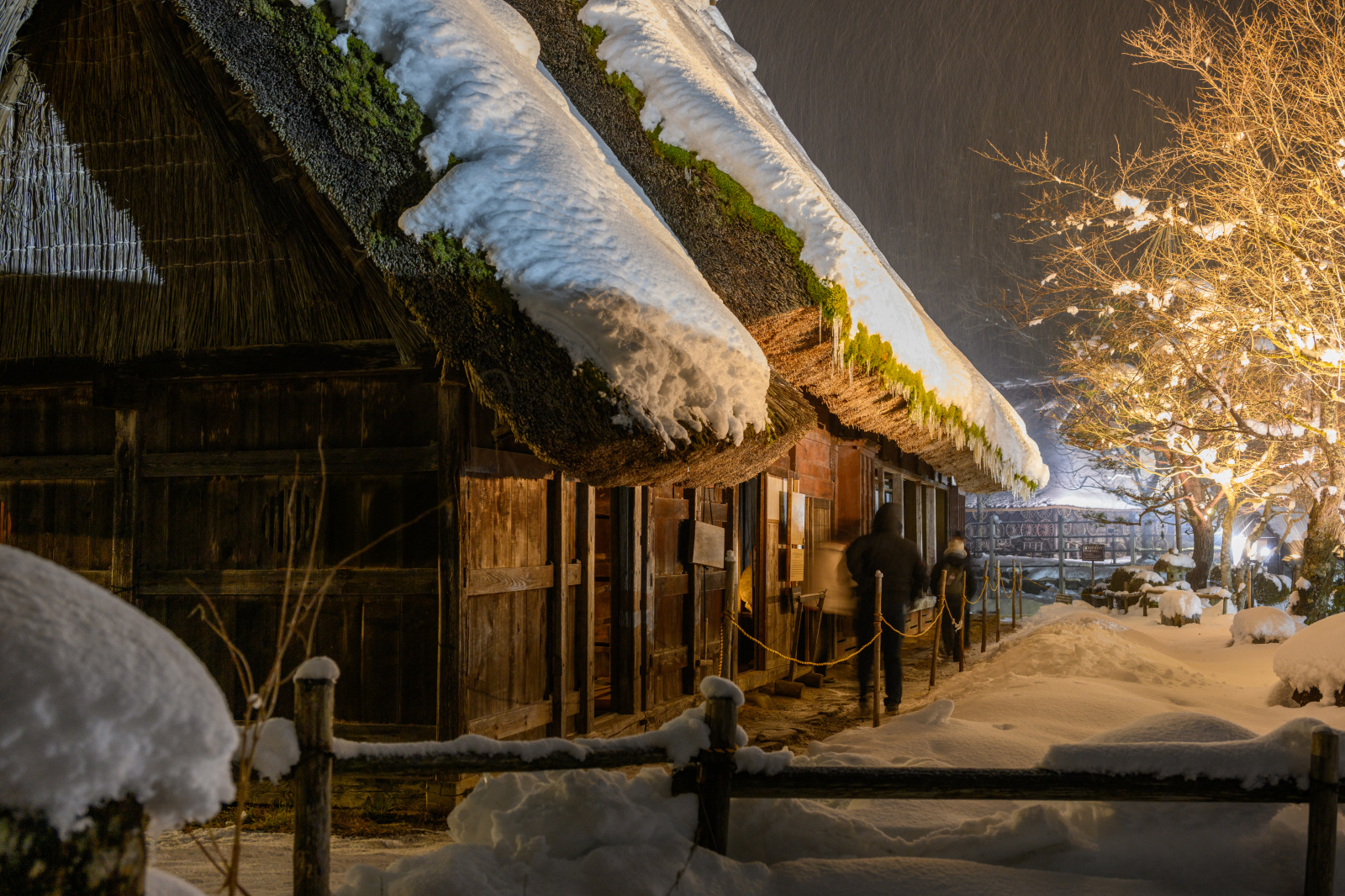 雪灯りに浮かび上がる合掌造り飛騨の里 冬のライトアップ