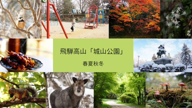 飛騨高山「城山公園」で四季の景色を味わう森林浴&ピクニック
