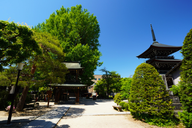 醫王山 飛騨国分寺