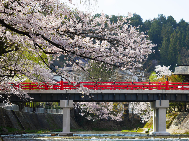 中橋