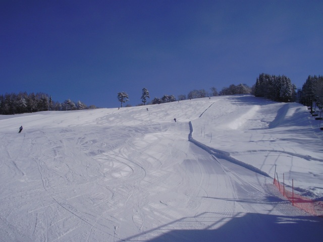 荘川高原スキー場