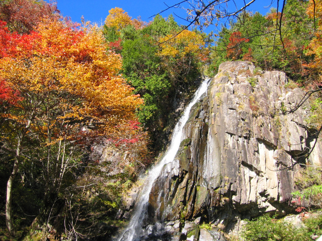 森林公園おおくら滝