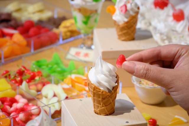 サンプルビレッジいわさき 高山店